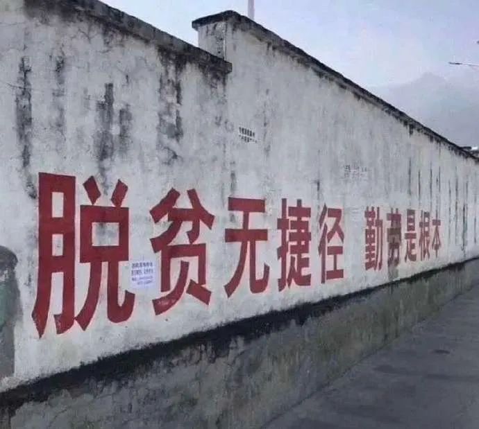 Word文档图片