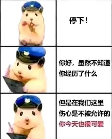 Word文档图片