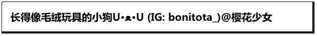 这是哪来的玩偶小狗勾！它看起来好有礼貌！